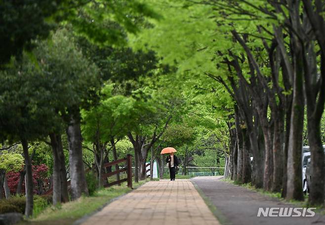 [광주=뉴시스] 박기웅 기자 = 비가 내리는 10일 오전 광주 북구 용봉동 전남대학교 캠퍼스에서 한 학생이 우산을 쓴 채 나무 아래 길을 걷고 있다. 2024.04.15. pboxer@newsis.com