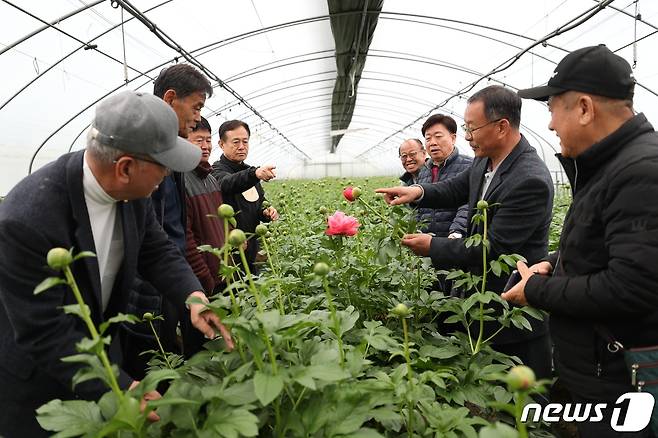 지난달 28일 금산군 농업기술센터 농업인상담소 소장들이 남이면 절화 작약 재배농가를 방문해 현장지도를 하고 있다.(금산군 제공)/ 뉴스1