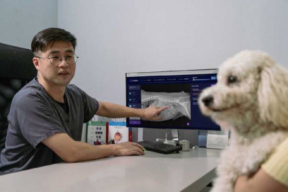 수의사와 반려견. 사진은 기사와 무관 [사진=SKT]