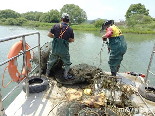한강 유역에 불법으로 설치된 어구들을 합동단속 반원들이 수거하고 있다.