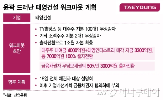 윤곽 드러난 태영건설 워크아웃 계획/그래픽=조수아