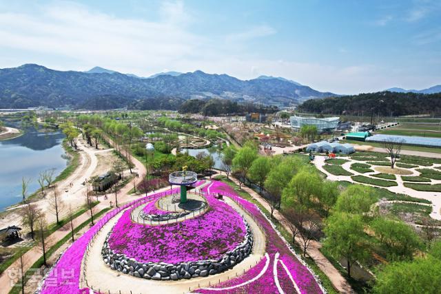 거창창포원은 사계절 관광 정원이다. 전망대 주변에 꽃잔디가 화사하게 피어 있다.