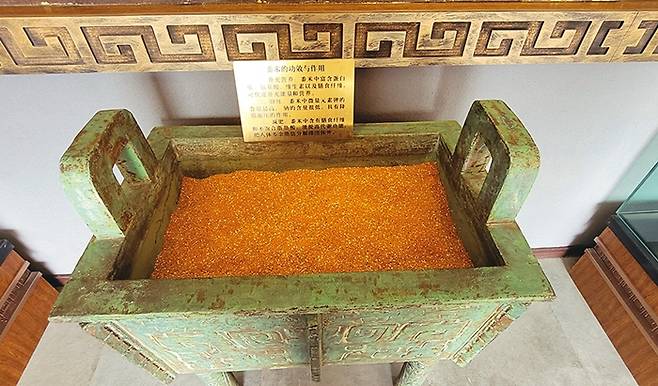 지모황주창 지모라오주박물관 입구에 전시된 사각 청동솥과 기장쌀. 고대의 제례 솥과 기장쌀은 지모라오주의 오랜 역사를 상징한다.