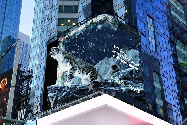 LG전자가 미국 뉴욕 타임스스퀘어에서 ‘LG와 함께하는 위기 동물 보호 캠페인’ 영상을 공개했다. LG전자는 연말까지 눈표범, 흰머리 독수리, 바다사자, 그린란드 순록을 영상으로 다룰 예정이다. <LG전자>