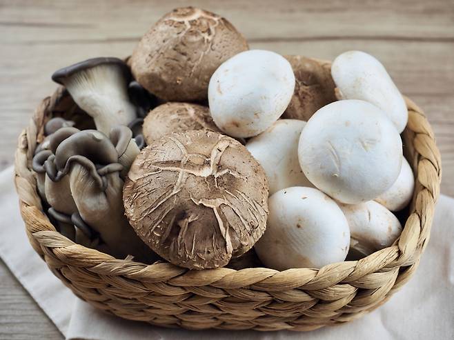 버섯은 다양한 영양소와 항산화제를 섭취할 수 있는 대표적인 건강식품이다. [사진=게티이미지뱅크]