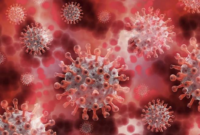 자료사진 출처=픽사베이