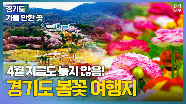 [썸네일] 4월 경기도 봄꽃 여행지! [경기도 가볼 만한 곳] 김다희PD