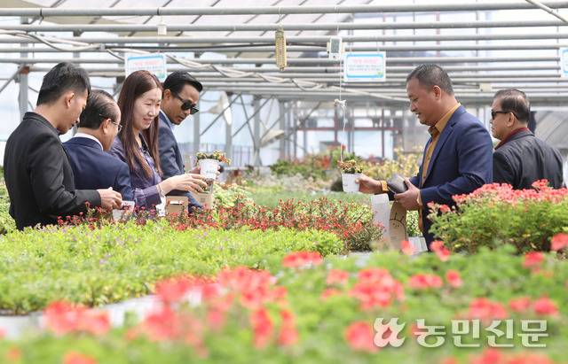 캄보디아에서 온 공무원들이 수도권매립지 내부에 있는 양묘온실을 구경하고 있다.