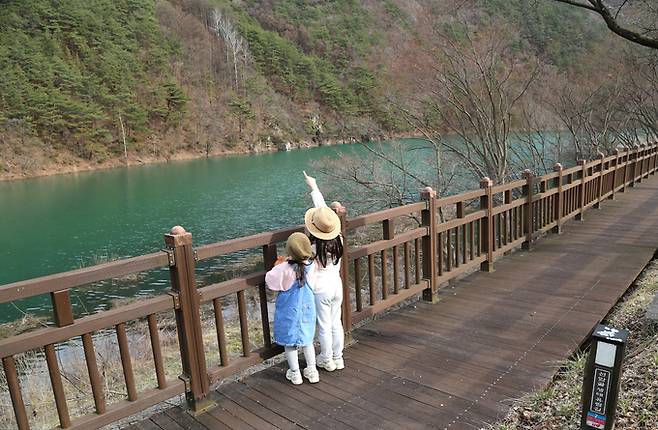 단양 선암골생태유람길.