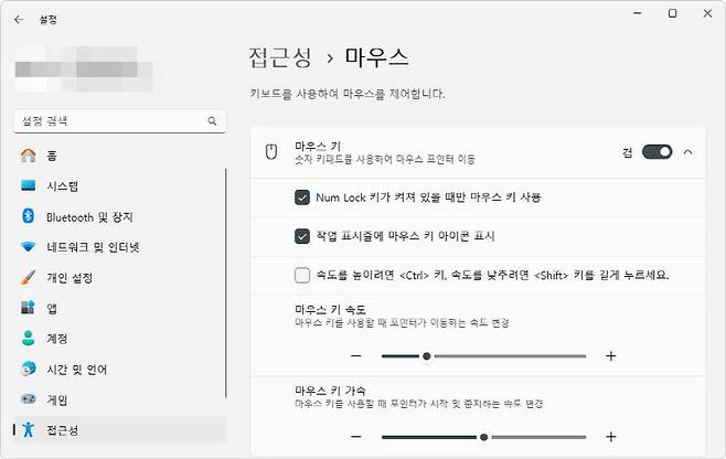 마우스 키는 접근성 설정에서 찾을 수 있다