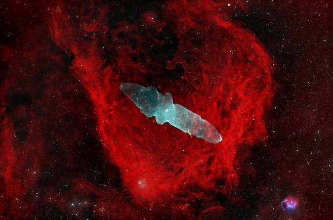 제32회 천체사진공모전 대상 우수상 ‘Flying Bat and Squid Nebula’. 한국천문연구원