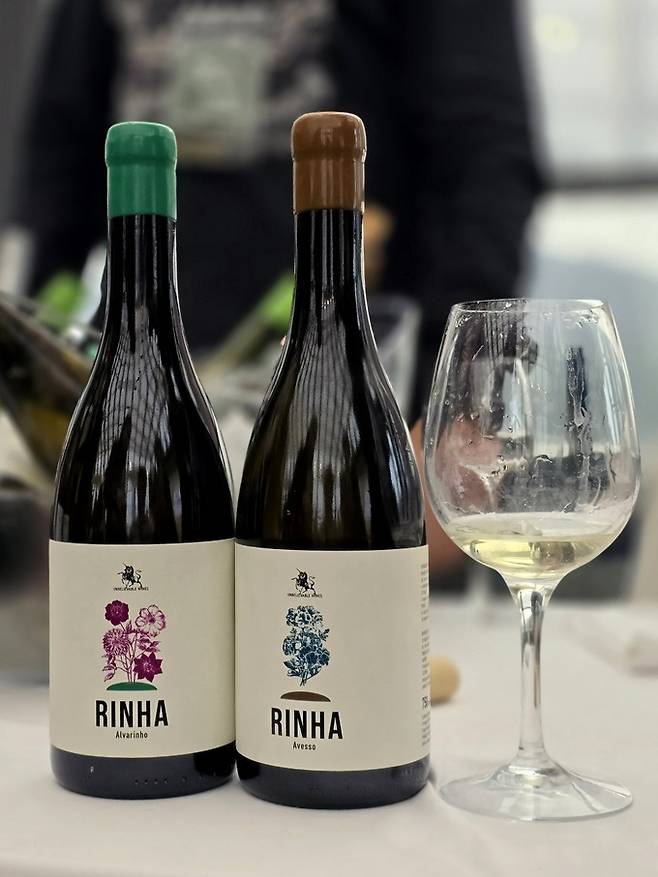 마누엘 코스타 에 필로스 아베소, 알바리뉴. 최현태 기자