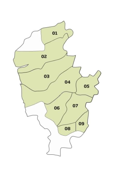 비뉴 베르데 세부산지. 포르투갈와인협회.