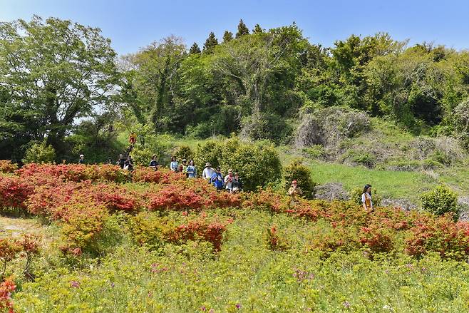 계절마다 각기 다른 아름다움을 만끽할 수 있는 꽃섬 트레킹
