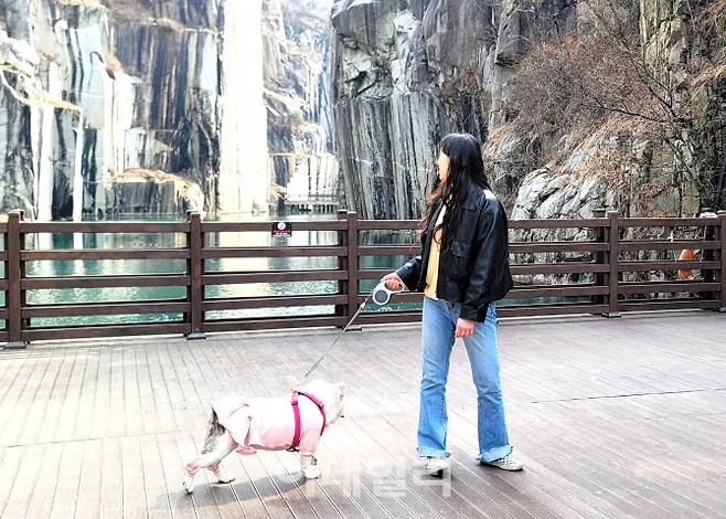 한 관광객이 반려견과 함께 아트밸리를 둘러보고 있다.(사진=포천시 제공)