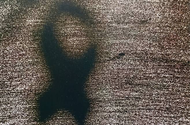 ‘사고해역, 2017년 1월 1일, 동거차도’(2024)