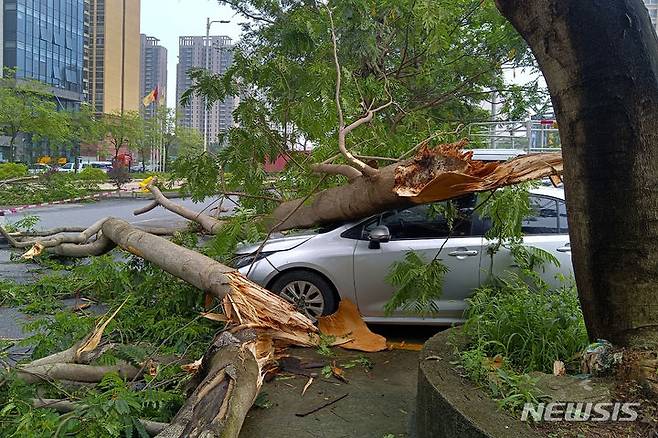 [칭위안=AP/뉴시스] 22일(현지시각) 중국 남부 광둥성 칭위안시에 있던 자동차 한 대가 폭우 여파로 쓰러진 나무에 깔려 있다. 현지 당국은 지난 19일부터 광둥성에 쏟아진 폭우로 강이 범람해 지금까지 최소 10명이 숨지고 11만 명이 대피했다고 전했다. 2024.04.23.