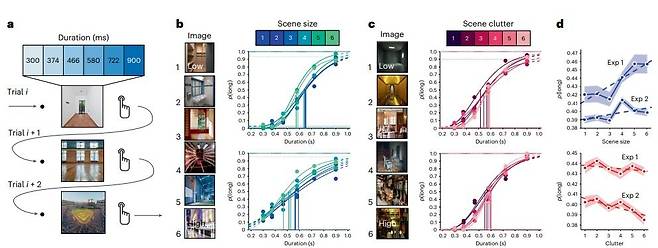 사진의 내용과 특성에 따른 시간 인식 차이 실험  Nature Human Behaviour/Martin Wiener et al. 제공. 재판매 및 DB 금지]