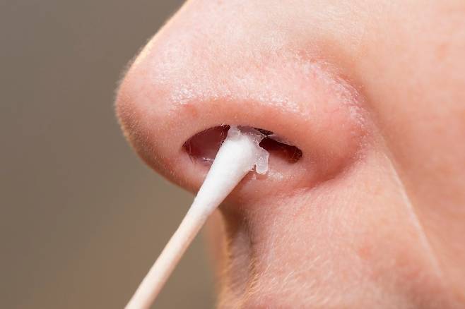 네오마이신 성분이 코 점막에서 인터페론 자극 유전자(ISG)의 발현을 유도해 바이러스에 대한 강한 면역반응을 끌어낼 수 있다. [사진=클립아트코리아]