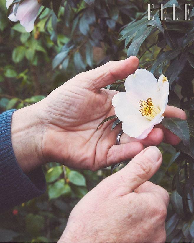 화이트 까멜리아를 어루만지는 쟝 토비의 손에서 까멜리아에 대한 헌신과 자연을 향한 겸허함이 느껴진다.