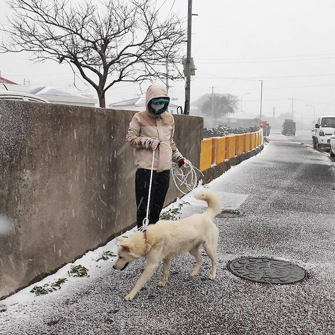 소방서에서 보람이를 데리고 온 날. 보람보 보호자 제공