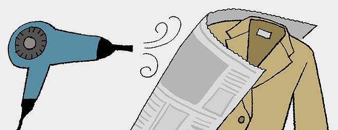 일러스트=김성규