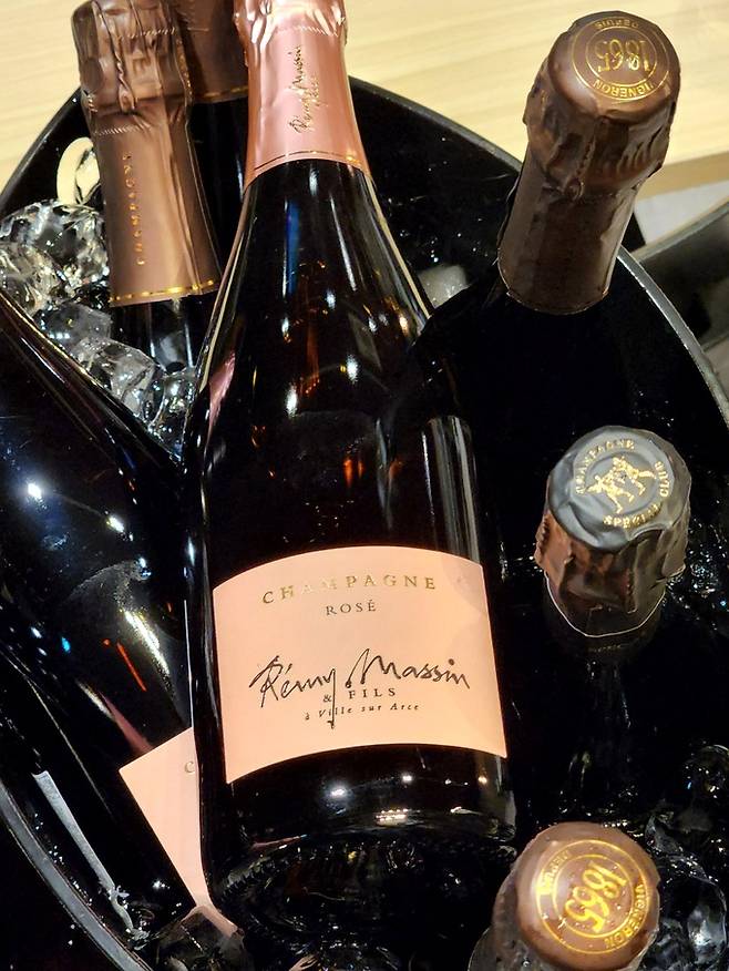 레미 마쌍 로제. 최현태 기자