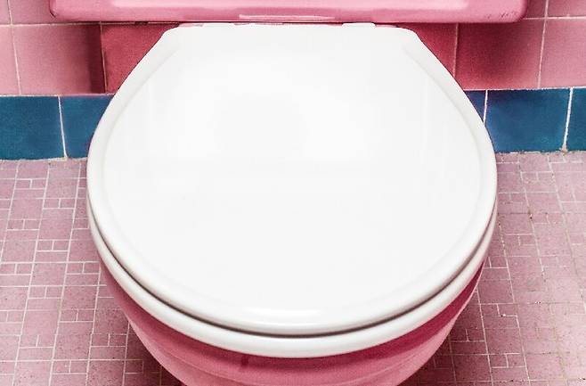 뚜껑을 닫아야만 작동하는 자동 변기 물 내림 장치는 병원성 박테리아 확산 차단에 2배 효과를 내는 것으로 나타났다. 사진은 자동 변기 물내림 장치와는 관계 없음. Curology/Unsplash