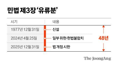 김영희 디자이너
