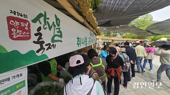 제14회 양평 용문산 산나물축제가 개막했다. 축제는 28일까지 용문산 일원에서 진행된다. 방문객이 산나물을 구매하고 있다. 2024.04.26 양평/장태복기자 jkb@kyeongin.com