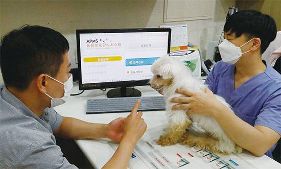 서울 종로구의 한 동물병원에서 수의사가 반려견의 동물등록을 진행하고 있다. (매경DB)
