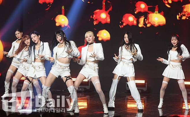 티브이데일리 포토