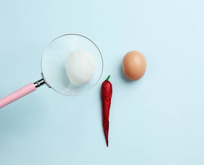 고환은 몸 속에 숨겨져 있지 않고 신체 외부에 있는 이유는 체온을 낮추기 위해서다. [사진= 게티이미지뱅크]