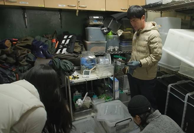 김정호 수의사는 서울의 한 대학교의 요청으로 실험용이었던 생태교란종 거북이 몇 마리를 동물원으로 이송했다. 청주동물원 제공