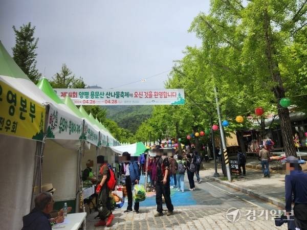 양평군 용문산관광단지에서 열린 산나물축제 현장. 황선주기자