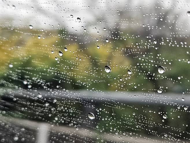 월요일인 오늘(29일)은 저기압의 영향으로 전국은 대부분 지역이 흐리고 비가 내리면서 30도까지 오른 더위가 한풀 꺾이겠다.    서울, 오늘날씨, 내일날씨, 전국날씨, 주간날씨 ©bnt뉴스