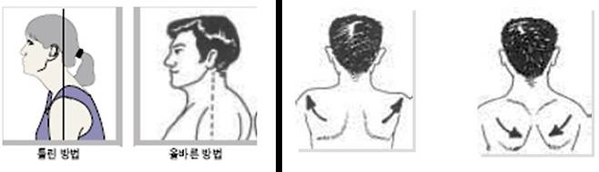 목을 펼 땐 턱을 잡아당기고(왼쪽), 어깨 근육을 이완할 땐 날개뼈를 아래로 젖혀야 올바른 자세를 취할 수 있다./사진=정진우 교수