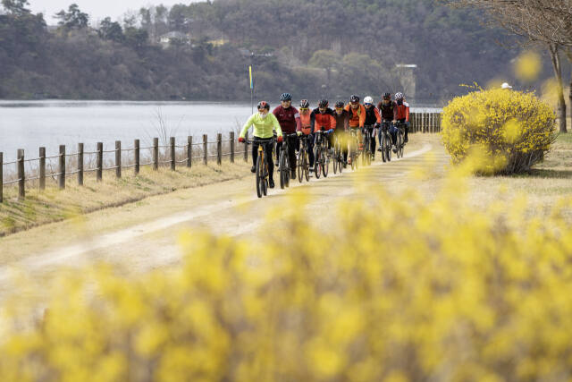 서울에서 충주를 잇는 남한강변 봄 개나리꽃을 즐기며 자전거를 즐기는 라이더들. 여주시 제공