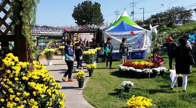 [대구=뉴시스] 지난해 불로화훼단지 봄꽃 축제. 대구시 동구 제공 *재판매 및 DB 금지