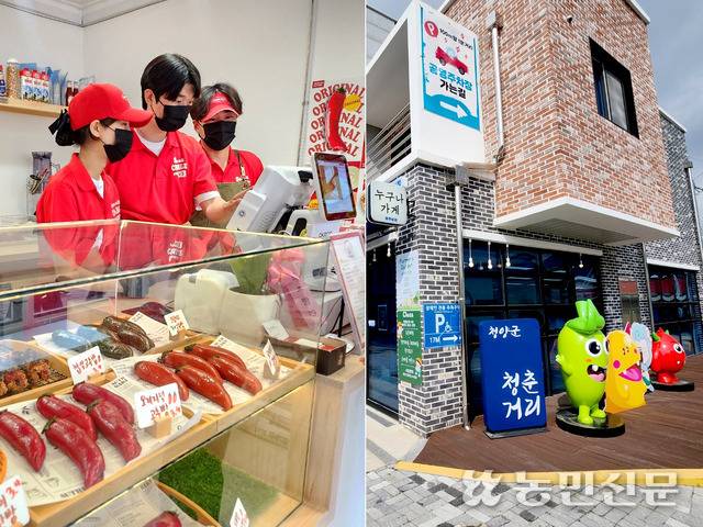지난 2월 충남 청양군 청양읍에 타지 청년들이 모여 문을 연 ‘찰리스 팩토리’. 이곳에서 판매하는 ‘고추빵’은 지역명물이 됐다. 오른쪽 사진은 정부와 지방자치단체가 청년 육성과 지역경제 활성화를 위해 청양읍에 조성한 청춘거리.