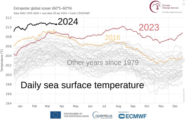 1979년 이후 극지방(남위 60도 이남과 북위 60도 이북)을 제외한 전 지구 해수면 평균 온도 추이. 올해 온도가 이전과 확연히 다르다. 코페르니쿠스기후변화서비스 제공