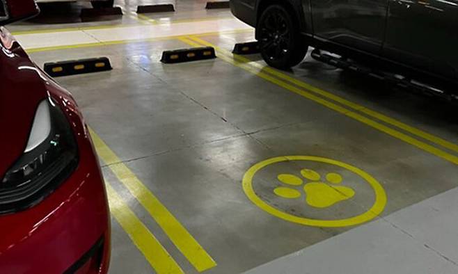 지난 28일 온라인 커뮤니티에 올라온 경기도의 한 쇼핑센터에 있는 주차장 모습. '강아지 발바닥' 모양이 있다. 뉴시스