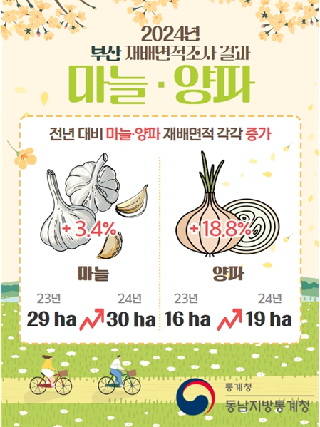부산 양파·마늘 재배 면적 증가 [동남지방통계청 제공]