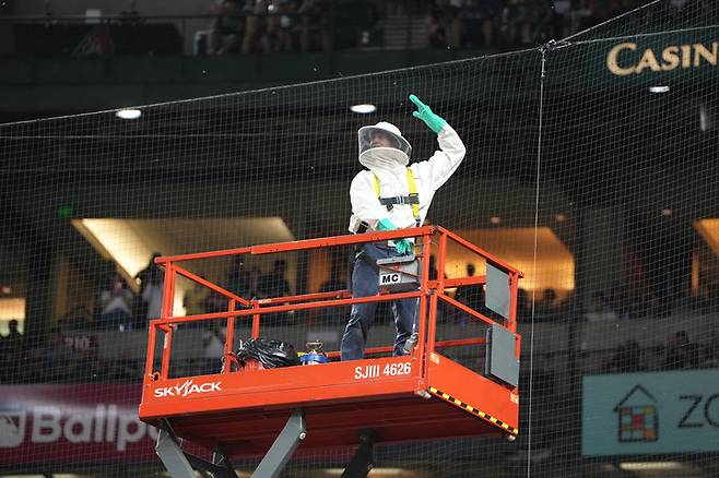 (해충업체 직원 맷 힐튼이 고가사다리를 타고 벌떼 제거 작업에 나섰다)