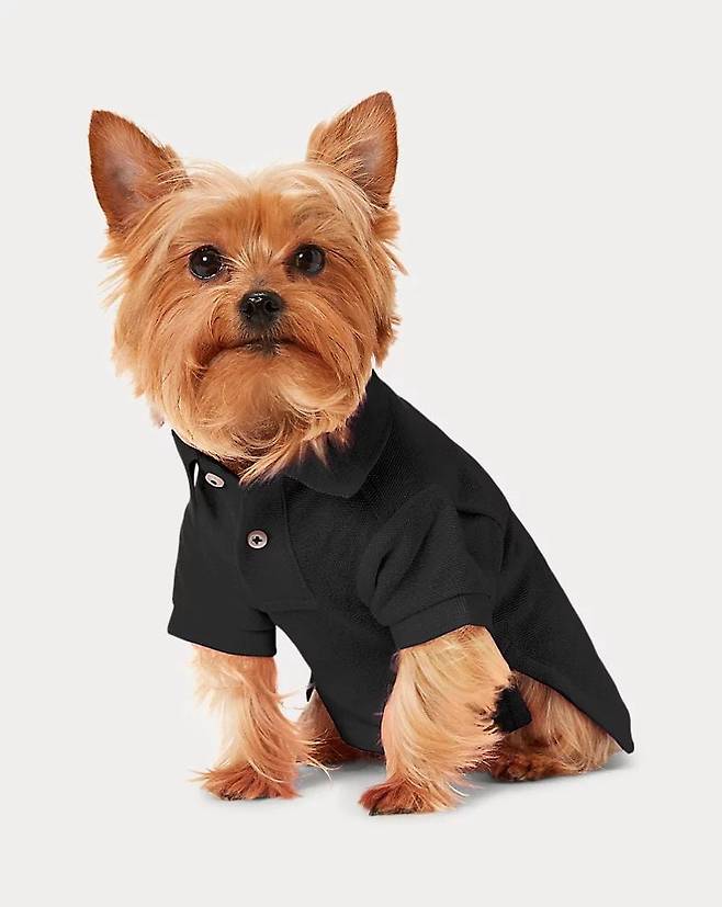 빅 포니 메시 도그 폴로 셔츠. 클래식 폴로 셔츠를 모티브로 한 반려견용 셔츠로, 눈에 띄지 않는 목줄 구멍을 갖추었으며, 뒷면의 시그니처 빅 포니 자수가 특징이다. 랄프 로렌.