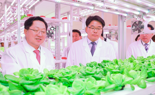 대전 동구 삼성동 공실에서2일 개장한 스마트팜인 '테마형 대전팜'에서 이장우(왼쪽) 대전시장과 박희조(오른쪽) 동구청장이 재배 작물을 둘러보고 있다. 대전시 제공