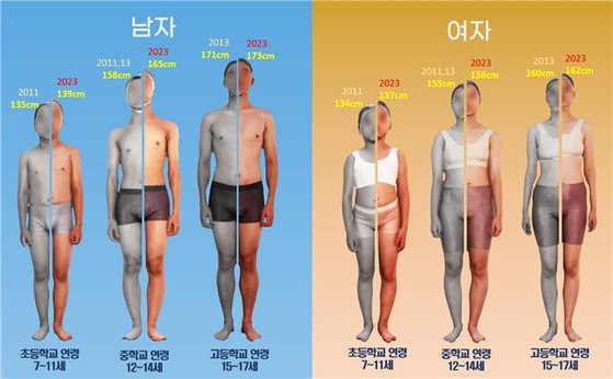 한국인 아동·청소년 평균 키 변화 (6차(2011, 2013) vs 8차(2023). 사진 산업통상자원부 국가기술표준원