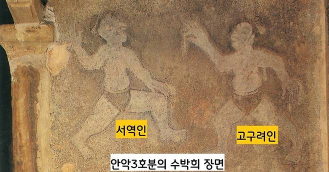 안악3호분의 남쪽 동벽에는 수박희(맨손 격투기)를 겨루는 두 사람이 보인다. 한 명은 고구려인 같다. 그러나 상대방은 코가 유난히 높고 눈도 크다. 서역계 인물로 보인다.