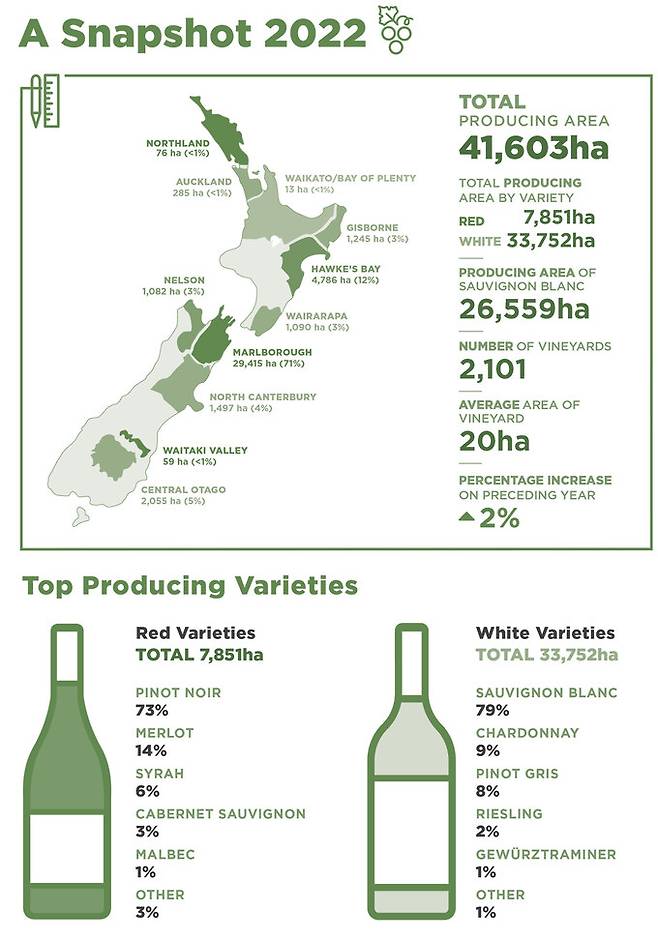 뉴질랜드 와인 산업 현황 2022년 기준. 뉴질랜드와인협회