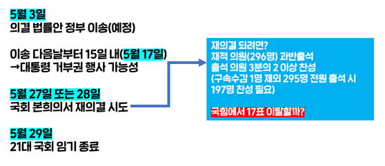 '채상병 특검법' 향후 예상 일정 〈그래픽=뉴스들어가혁〉